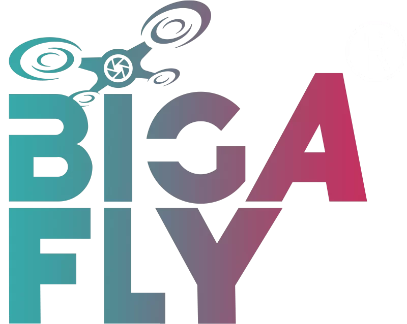 Biga fly